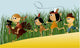 Thanksgiving Day Wall Mural