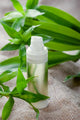 Skincare Concept Face Creamserumlotion