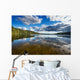 Wild Forrest Lake Sky