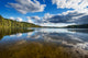 Wild Forrest Lake Sky