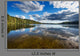 Wild Forrest Lake Sky