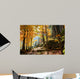 Forest in Autumn Wall Mural
