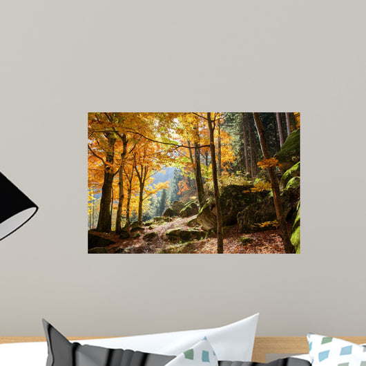 Forest in Autumn Wall Mural