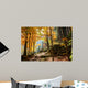 Forest in Autumn Wall Mural