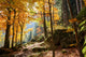 Forest in Autumn Wall Mural