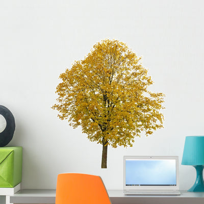 Autumnal Tree White Wall Decal shown on a wall