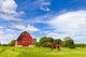 Agriculture Landscape with Old