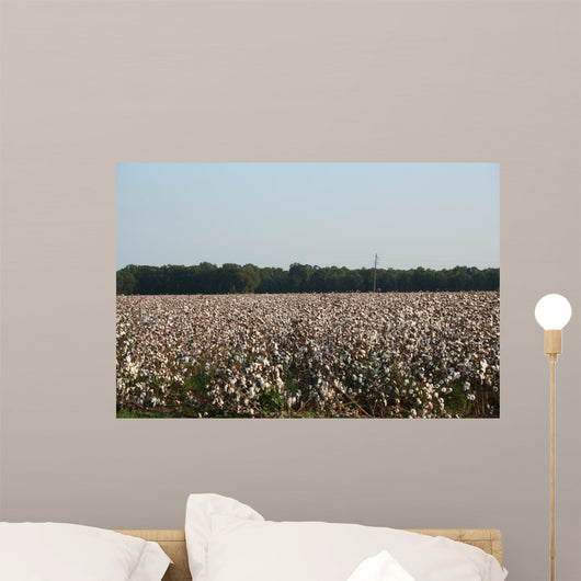 Cotton Fields Blossom Wall Mural