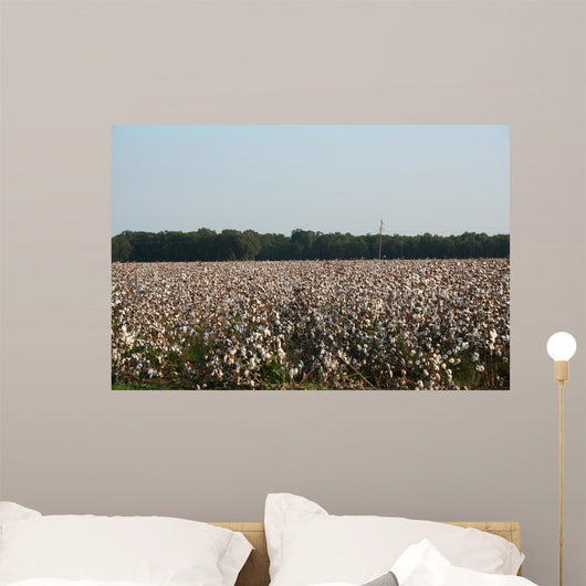Cotton Fields Blossom Wall Mural