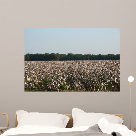Cotton Fields Blossom Wall Mural