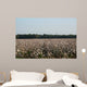 Cotton Fields Blossom Wall Mural
