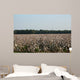 Cotton Fields Blossom Wall Mural