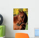 Western Horse Autumn