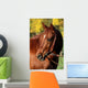 Western Horse Autumn