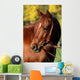 Western Horse Autumn