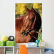 Western Horse Autumn