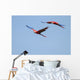 Scarlet Macaws Flight 2