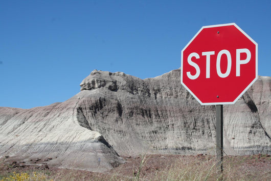 Stop Wall Mural