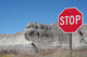 Stop Wall Mural