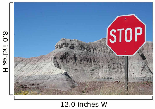 Stop Wall Mural