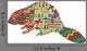 Beaver Ethnic Pattern Indians
