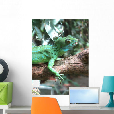 Reptile Wall Mural shown on a wall