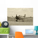 World War II Era Airplane Wall Mural
