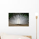 Peacock Wall Mural