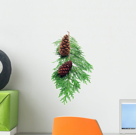 Pine