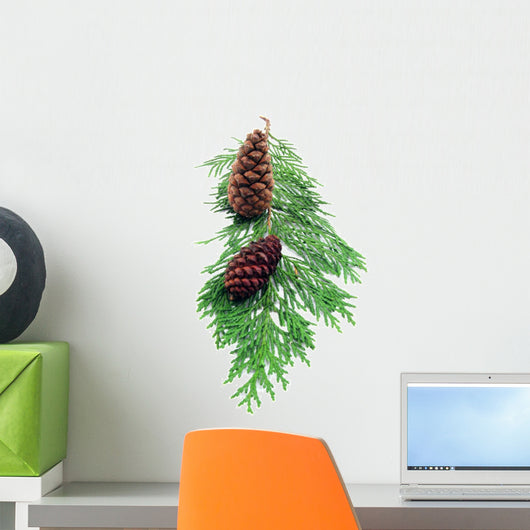 Pine