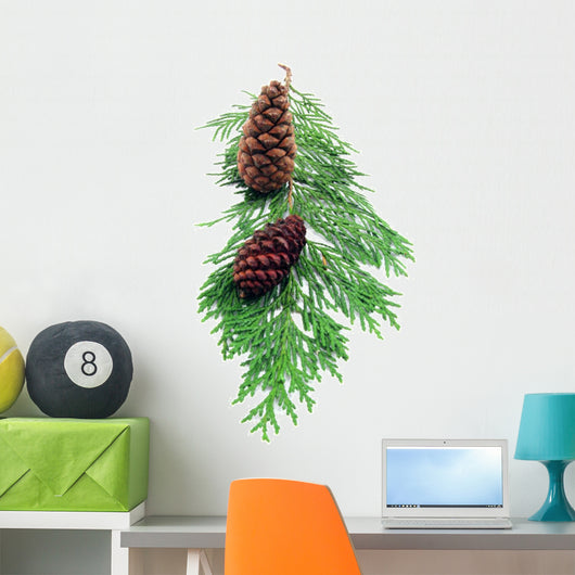 Pine