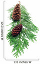 Pine