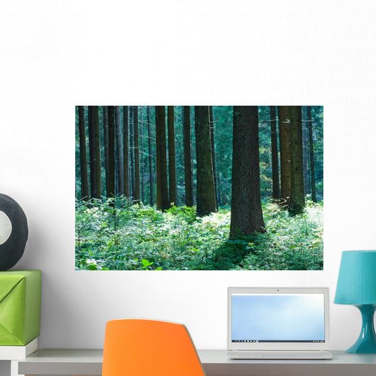 Forest Wall Mural