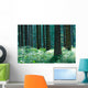 Forest Wall Mural