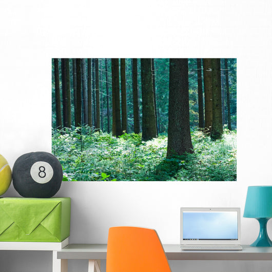 Forest Wall Mural