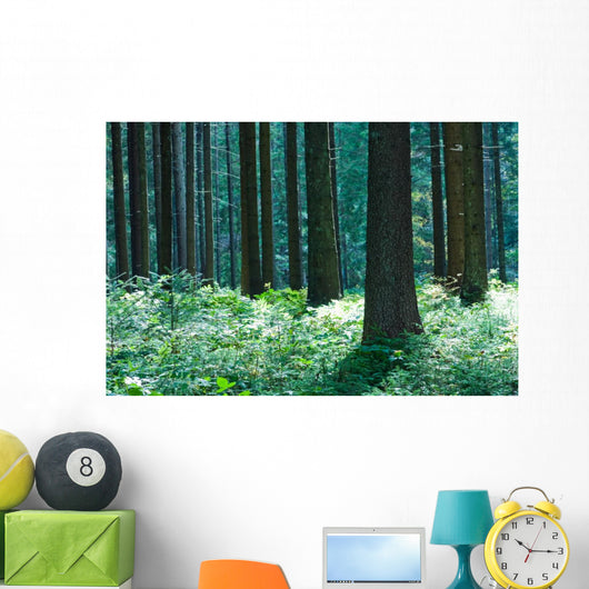 Forest Wall Mural