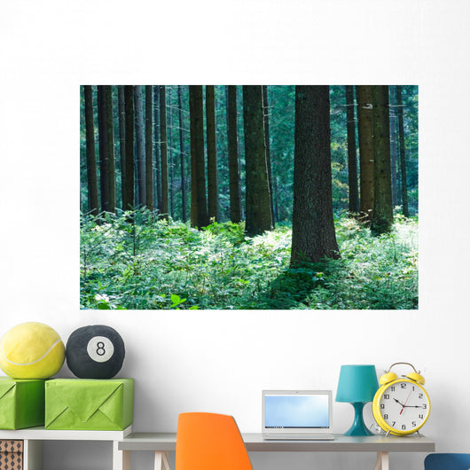 Forest Wall Mural