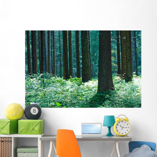 Forest Wall Mural