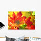Autumn Fall Leaves