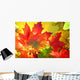 Autumn Fall Leaves