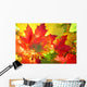 Autumn Fall Leaves