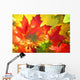 Autumn Fall Leaves