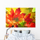 Autumn Fall Leaves