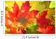 Autumn Fall Leaves