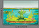 Frog and Water