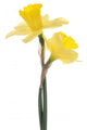 Daffodil Wall Decal