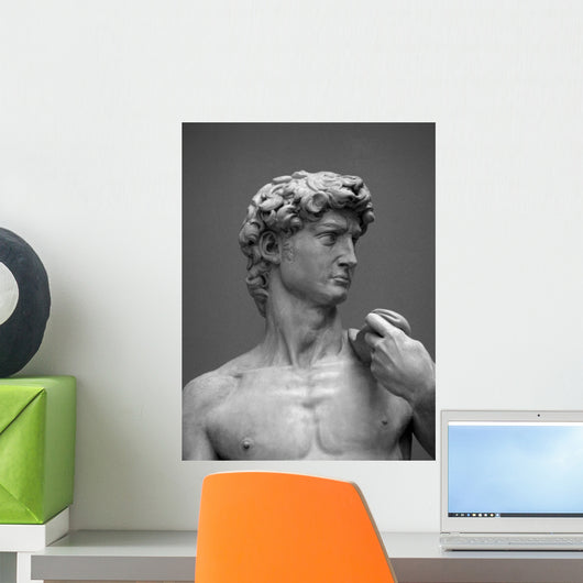 Museum Replica David 1 Wall Mural