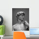 Museum Replica David 1 Wall Mural