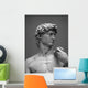 Museum Replica David 1 Wall Mural