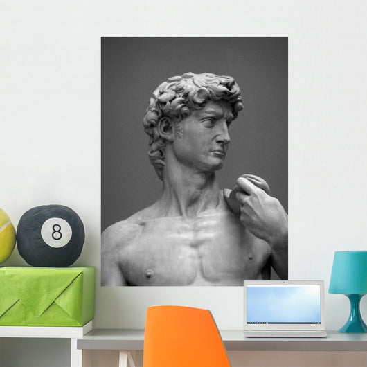 Museum Replica David 1 Wall Mural